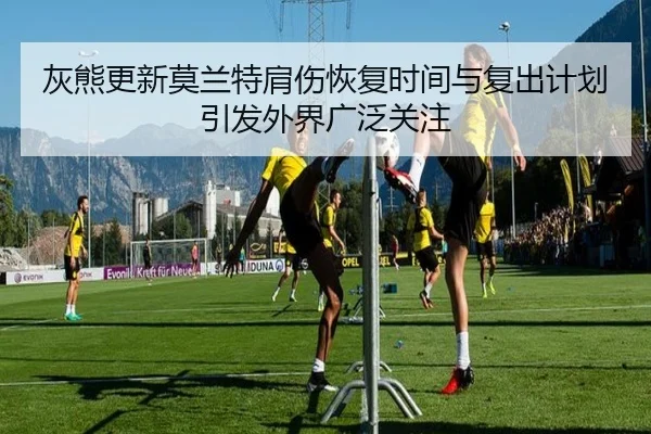 灰熊更新莫兰特肩伤恢复时间与复出计划引发外界广泛关注